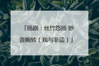 扬剧：丝竹悠扬 妙音婉转（我与非遗）
