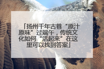 扬州千年古巷“原汁原味”过端午，传统文化如何“活起来”在这里可以找到答案