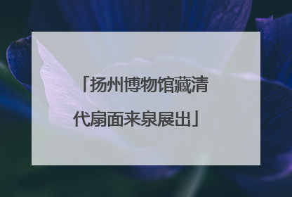 扬州博物馆藏清代扇面来泉展出
