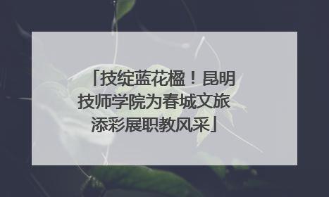 技绽蓝花楹！昆明技师学院为春城文旅添彩展职教风采