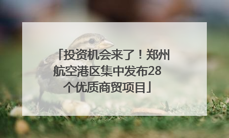 投资机会来了！郑州航空港区集中发布28个优质商贸项目