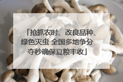 抢抓农时、改良品种、绿色灭虫 全国多地争分夺秒确保夏粮丰收