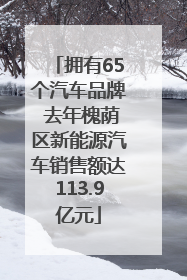 拥有65个汽车品牌 去年槐荫区新能源汽车销售额达113.9亿元