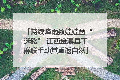持续降雨致娃娃鱼“迷路” 江西金溪县干群联手助其重返自然