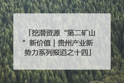 挖潜资源“第二矿山”新价值｜贵州产业新势力系列报道之十四