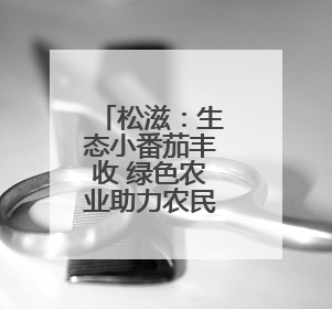 松滋：生态小番茄丰收 绿色农业助力农民增收
