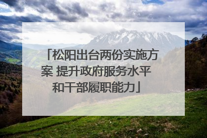 松阳出台两份实施方案 提升政府服务水平和干部履职能力
