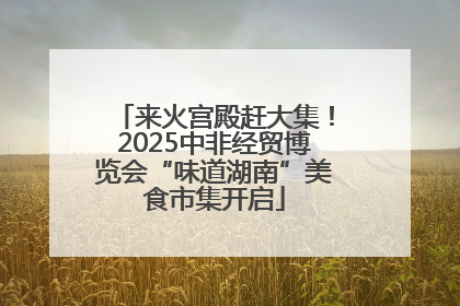 来火宫殿赶大集！2025中非经贸博览会“味道湖南”美食市集开启