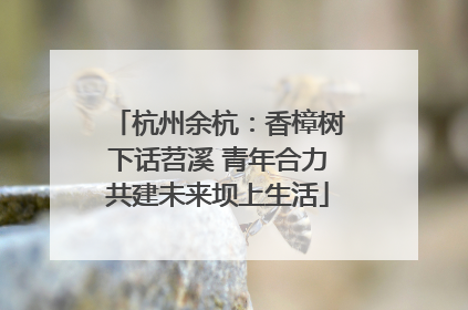 杭州余杭：香樟树下话苕溪 青年合力共建未来坝上生活