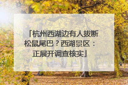 杭州西湖边有人拔断松鼠尾巴？西湖景区：正展开调查核实