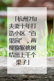 杭州7旬夫妻十年打造小区“百果园”，两棵猕猴桃树结出上千个果子