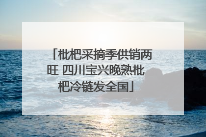 枇杷采摘季供销两旺 四川宝兴晚熟枇杷冷链发全国