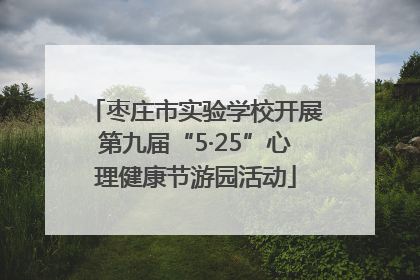 枣庄市实验学校开展第九届“5·25”心理健康节游园活动