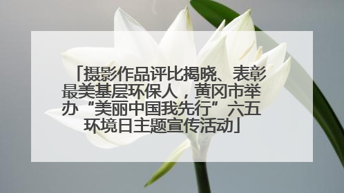 摄影作品评比揭晓、表彰最美基层环保人，黄冈市举办“美丽中国我先行”六五环境日主题宣传活动