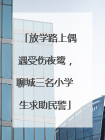 放学路上偶遇受伤夜鹭，聊城三名小学生求助民警