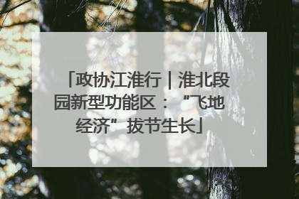 政协江淮行｜淮北段园新型功能区：“飞地经济”拔节生长