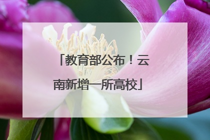教育部公布！云南新增一所高校