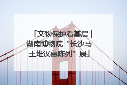 文物保护看基层｜湖南博物院“长沙马王堆汉墓陈列”展