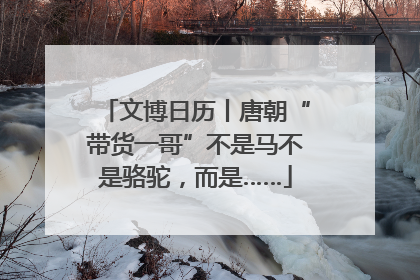 文博日历丨唐朝“带货一哥”不是马不是骆驼，而是……