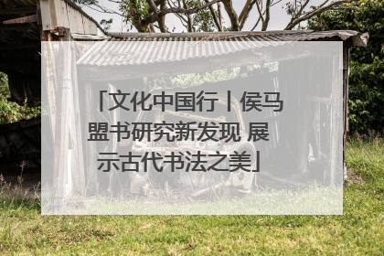 文化中国行丨侯马盟书研究新发现 展示古代书法之美