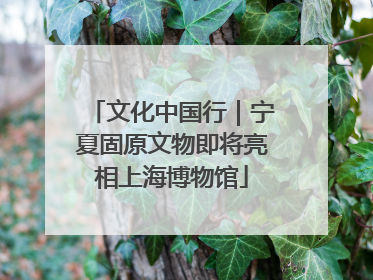 文化中国行｜宁夏固原文物即将亮相上海博物馆