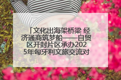 文化出海架桥梁 经济通商筑梦船——自贸区开封片区承办2025年匈牙利文旅交流对接活动专场