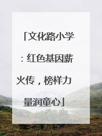 文化路小学：红色基因薪火传，榜样力量润童心
