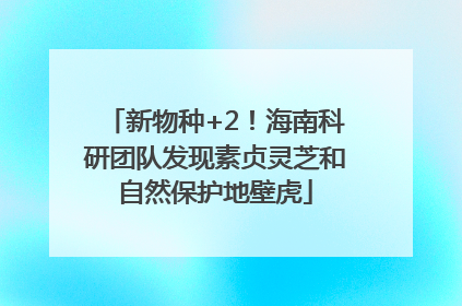 新物种+2！海南科研团队发现素贞灵芝和自然保护地壁虎