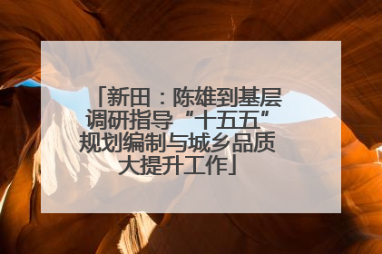 新田：陈雄到基层调研指导“十五五”规划编制与城乡品质大提升工作