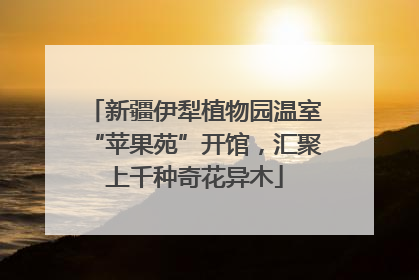 新疆伊犁植物园温室“苹果苑”开馆，汇聚上千种奇花异木