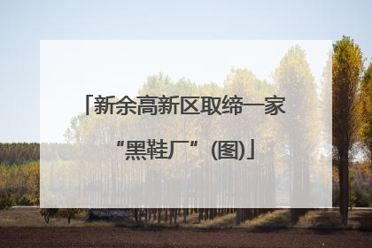 新余高新区取缔一家“黑鞋厂”(图)