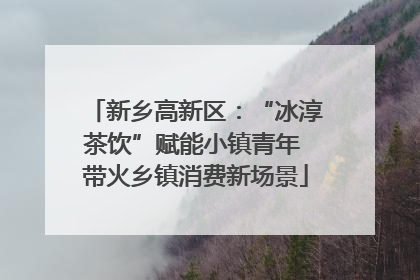 新乡高新区：“冰淳茶饮”赋能小镇青年 带火乡镇消费新场景