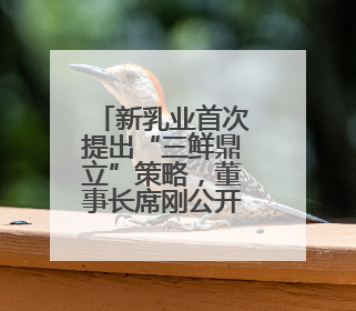 新乳业首次提出“三鲜鼎立”策略，董事长席刚公开定价策略