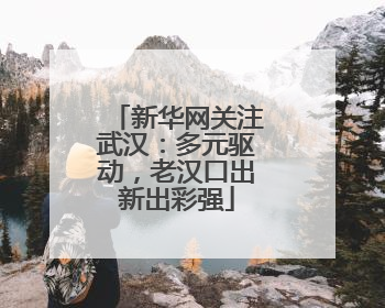 新华网关注武汉：多元驱动，老汉口出新出彩强