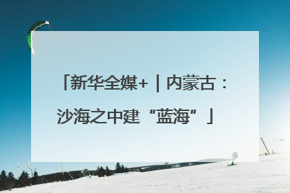 新华全媒+｜内蒙古：沙海之中建“蓝海”
