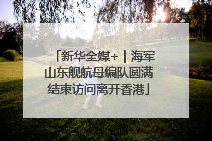 新华全媒+｜海军山东舰航母编队圆满结束访问离开香港