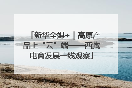 新华全媒+｜高原产品上“云”端——西藏电商发展一线观察