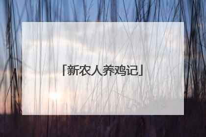 新农人养鸡记