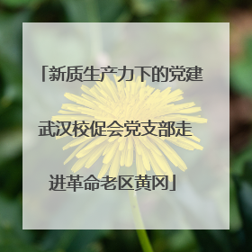 新质生产力下的党建 武汉校促会党支部走进革命老区黄冈