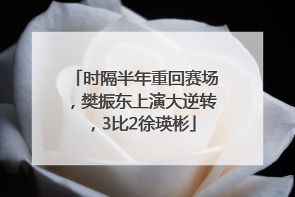 时隔半年重回赛场，樊振东上演大逆转，3比2徐瑛彬