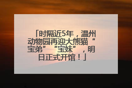 时隔近5年，温州动物园再迎大熊猫“宝弟”“宝妹”，明日正式开馆！