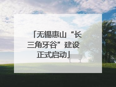 无锡惠山“长三角牙谷”建设正式启动