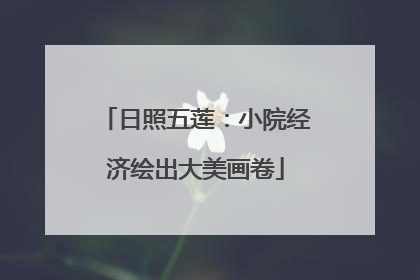 日照五莲：小院经济绘出大美画卷