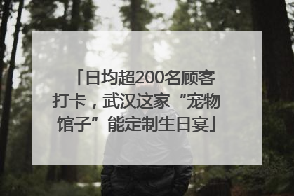 日均超200名顾客打卡，武汉这家“宠物馆子”能定制生日宴