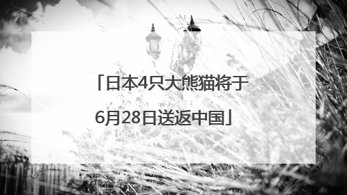 日本4只大熊猫将于6月28日送返中国