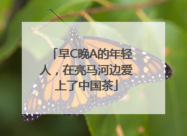 早C晚A的年轻人，在亮马河边爱上了中国茶
