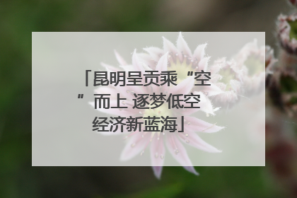 昆明呈贡乘“空”而上 逐梦低空经济新蓝海
