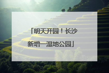 明天开园！长沙新增一湿地公园