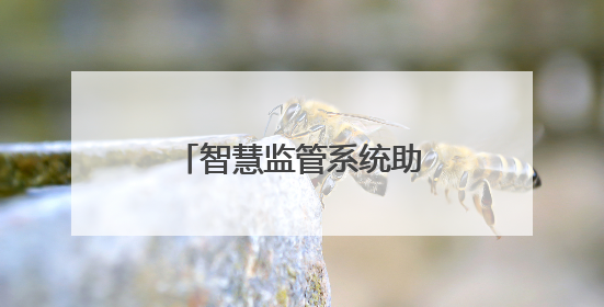 智慧监管系统助力宜宾打造中国“动力电池之都”