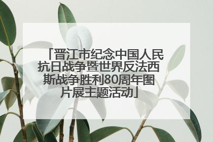 晋江市纪念中国人民抗日战争暨世界反法西斯战争胜利80周年图片展主题活动